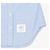 Thom Browne Camicia Donna in Popeline Grosgrain con Strisce Nascoste Blu - vista 9