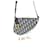 Saddle Dior Borsa a spalla obliqua Multicolore  - vista 7