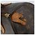 LOUIS VUITTON Borsa a Mano Monogram Speedy 25 M41528 LV Auth ARZ031 Monogramma - vista 18
