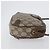 Borsa Sherry Line GG Supreme Web di GUCCI in PVC beige e oro 89 02 066i Auth BSZ370 D'oro - vista 3