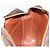 LOUIS VUITTON Clutch Compiegne 28 M51845 Auth LV ep13837 Monogramma - vista 18
