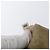 Borsa a Spalla PRADA in Tela Pelle Beige Oro Auth 174479 D'oro - vista 12