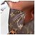 LOUIS VUITTON Bolso de Hombro Monogram Saint Cloud GM M51242 LV Auth ka3097 Monograma - vista 9