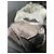 Completo a righe Christian Dior Grigio - vista 13