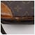 Borsa a Spalla Amazon Louis Vuitton Marrone - vista 14