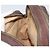 Gucci Borsa GG Supreme Web Sherry Line in PVC beige e oro 93 02 049 Auth 173907 D'oro - vista 18