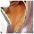 Gucci Borsa GG Supreme Web Sherry Line in PVC beige e oro 93 02 049 Auth 173907 D'oro - vista 21