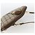 Borsa Gucci GG Supreme Web Sherry Line in PVC beige e oro 904 02 047 Auth gh1981 D'oro - vista 6