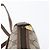Borsa Sherry Line GG Supreme Web di GUCCI in PVC beige e oro 89 02 032 Auth LNZ595 D'oro - vista 14