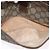 Borsa Sherry Line GG Supreme Web di GUCCI in PVC beige e oro 89 02 032 Auth LNZ595 D'oro - vista 22