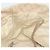 CHANEL Nuova Borsa Tote da Viaggio Nylon Beige Oro CC Auth ti3789 D'oro - vista 18
