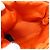 Hermès Bolide Mini Tasche Orange - Ansicht 12