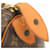 Borsa Louis Vuitton Speedy 25 Monogram Marrone - vista 9