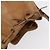 Noe LOUIS VUITTON Epi Petit Noé Borsa a Spalla Beige M44106 LV Auth ti3798 - vista 6