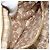 Bolso de Mano Gucci GG Canvas Sherry Line Beige Dorado 139261 Auth BA11705 - vista 20