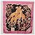 Sciarpa in seta Salvatore Ferragamo Rosa Auth am11101A - vista 11