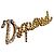Dsquared2 Spilla "Dream" in metallo dorato con strass Argento D'oro