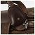 Borsa Boston in PVC beige e oro della linea Sherry GG Supreme di GUCCI Auth BSZ227 D'oro - vista 14