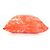 Coussin Dioliviera HYP02RCO0U de Christian Dior Orange - vue 4