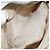 Borsa a Spalla PRADA Nylon Beige Oro Auth LNZ823 D'oro - vista 22