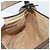 Borsa Sherry Line GG Supreme Web di GUCCI in PVC beige e oro 89 02 032 Auth LNZ714 D'oro - vista 20