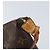 LOUIS VUITTON Pochette Accessoires Monogram M51980 LV Auth LNZ666 Monogramma - vista 9