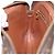 LOUIS VUITTON Clutch Marly Dragonne GM Monogram M51825 LV Auth th6648 Monogramma - vista 21