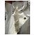 Rick Owens Snap Jacket White Denim S - view 7