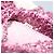 Bolso de mano PRADA de charol de malla rosa Auth LNZ700 - vista 12