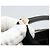 Borsa a mano PRADA in nylon argento e bianco Auth bs34109 - vista 12