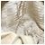 PRADA Borsa a mano in nylon beige argento autentica bs34100 - vista 19