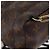 LOUIS VUITTON Monogram Palm Springs MINI Rucksack M44873 LV Auth ARZ405 Monogramm - Ansicht 18