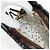 LOUIS VUITTON Pochette a Spalla Cat Face in Epi Grigio LV Auth 142442SAM Marrone - vista 22
