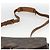 LOUIS VUITTON Borsa a Spalla Monogram Saint Cloud GM M51242 LV Auth BA11665 Monogramma - vista 8