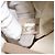 CHANEL Nova Bolsa Tote de Viagem Nylon Bege Ouro CC Auth ti3788 Dourado - vista 12
