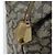 Saint Laurent Borsa Tote in PVC Canvas Grigio Auth bs34002 Marrone - vista 11