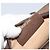 Borsa Sherry Line GG Supreme Web di GUCCI in PVC beige e oro 89 02 066 Auth LNZ667 - vista 12