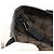 GUCCI GG Canvas Tote Bag Schwarz Silber 019 0402 1705 Auth am11183A - Ansicht 9