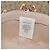 GUCCI Micro GG Supreme Disney Hut PVC Größe M Beige 602978 Auth am10313SAM - Ansicht 15
