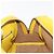 Borsa LOEWE in pelle 2 in 1 Gialla Argento Auth ka1544V Giallo - vista 21