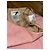 Falda de tweed Chanel rosa Barbie Beige - vista 7