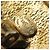 Chanel Gold Clip Ohrringe Golden - Ansicht 7