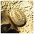 Chanel Gold Clip Ohrringe Golden - Ansicht 8