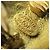 Orecchini a clip in oro Chanel D'oro - vista 7
