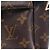 Zaino/borsa Palm Springs PM Monogram Louis Vuitton Marrone Nero Monogramma - vista 8