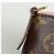 Borsa a Spalla Pallas Clutch 2 in 1 Louis Vuitton Marrone Rosa Monogramma - vista 4
