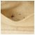 Borsa a mano Hammock Small Anagram Loewe Beige - vista 14