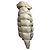 Jaqueta Puffer Moncler Maya em nylon branco Cru - vista 2