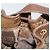 Gucci Borsa a spalla GG Supreme in PVC beige e oro Auth ARZ789 D'oro - vista 19