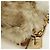 Borsa a spalla PRADA in pelliccia beige oro Auth BAZ731SM D'oro - vista 19